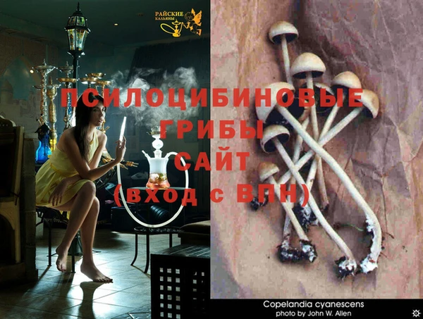 героин Горнозаводск