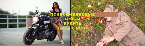 а пвп мука Горняк